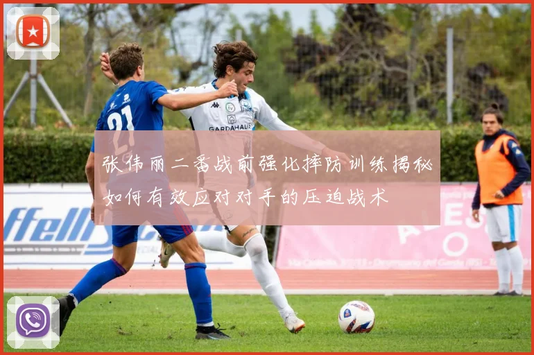 张伟丽二番战前强化摔防训练揭秘如何有效应对对手的压迫战术